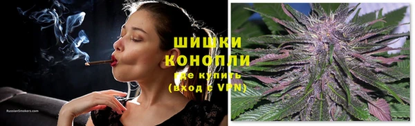ПСИЛОЦИБИНОВЫЕ ГРИБЫ Пересвет