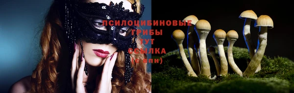 ПСИЛОЦИБИНОВЫЕ ГРИБЫ Пересвет