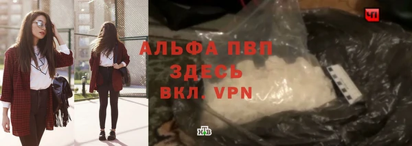ПСИЛОЦИБИНОВЫЕ ГРИБЫ Пересвет