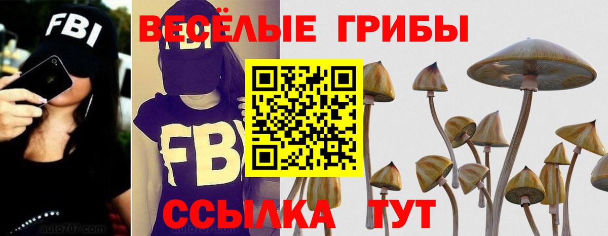 Тверь  Псилоцибиновые грибы мицелий  Вход с VPN 